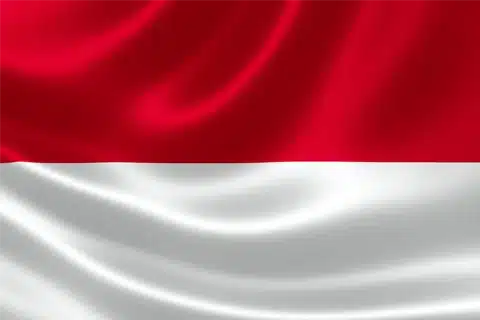 Indonesia Flag New